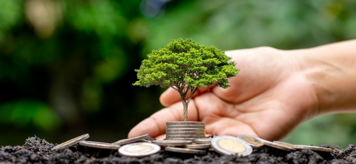 Arbe planté avec de l'argent