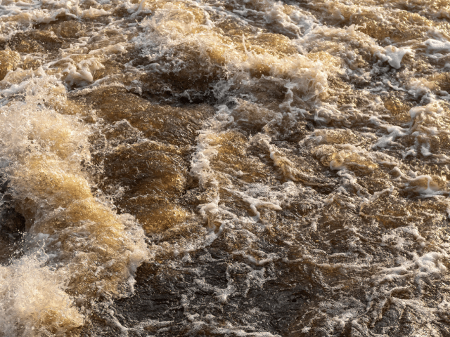 Turbid waters